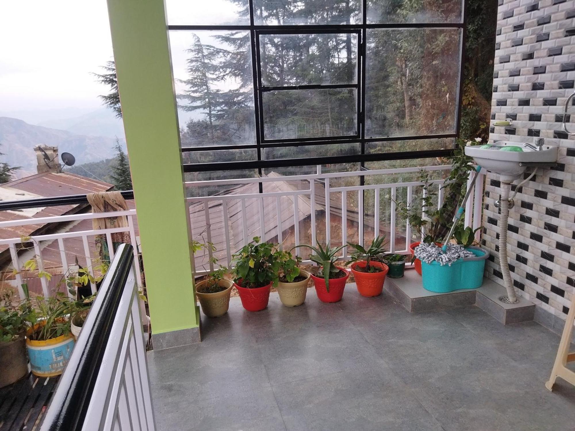 Tree Valley Homestay Chail Zewnętrze zdjęcie