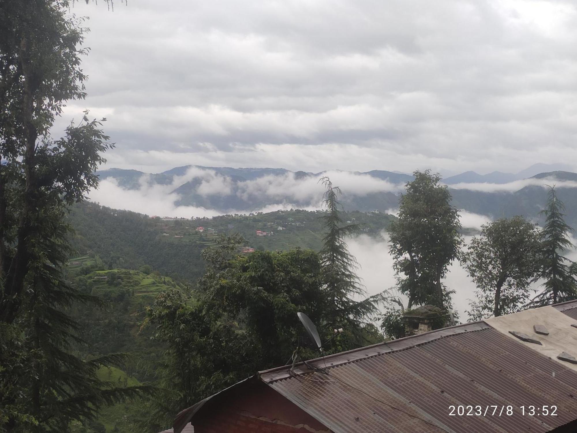 Tree Valley Homestay Chail Zewnętrze zdjęcie