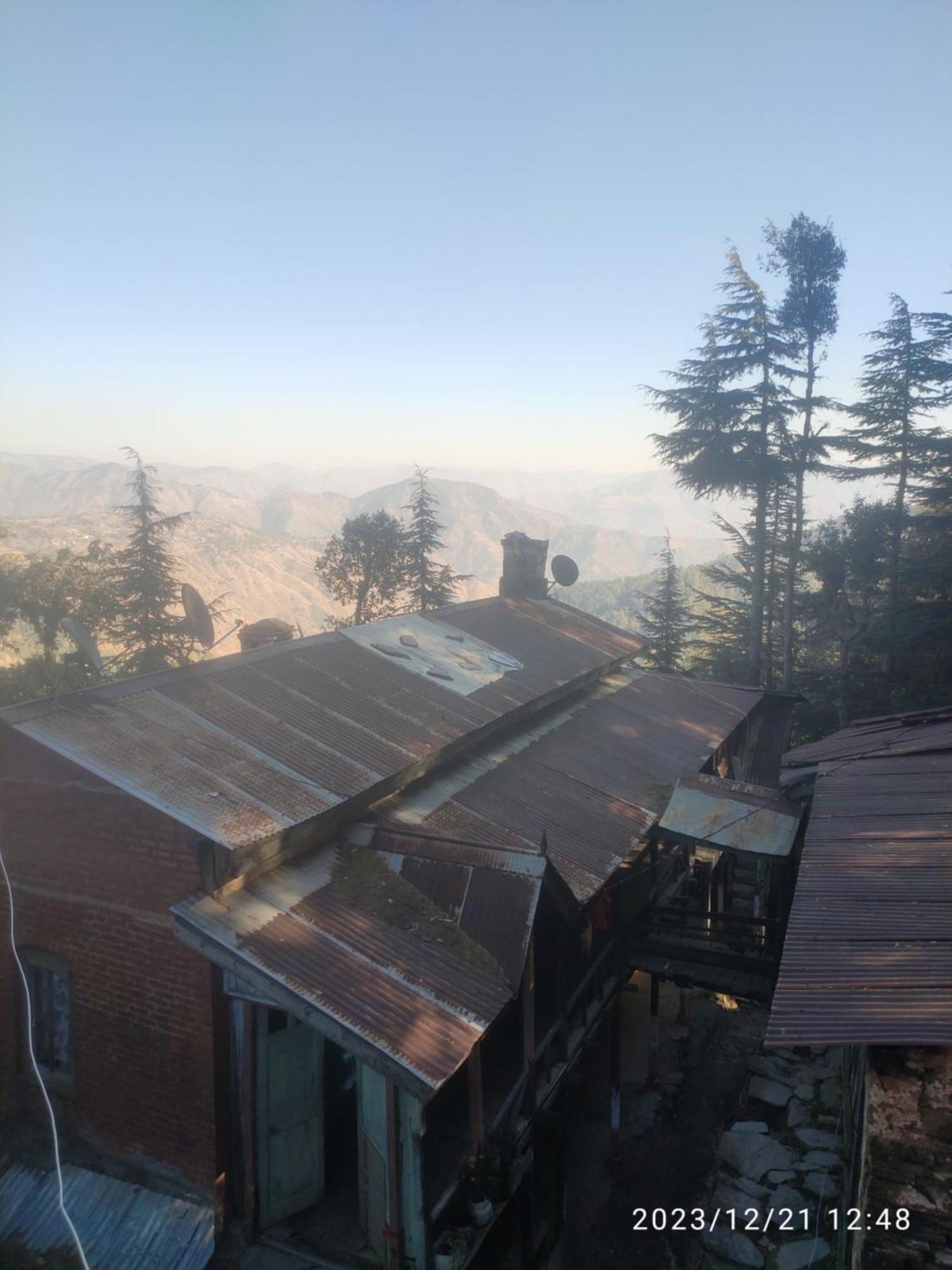 Tree Valley Homestay Chail Zewnętrze zdjęcie
