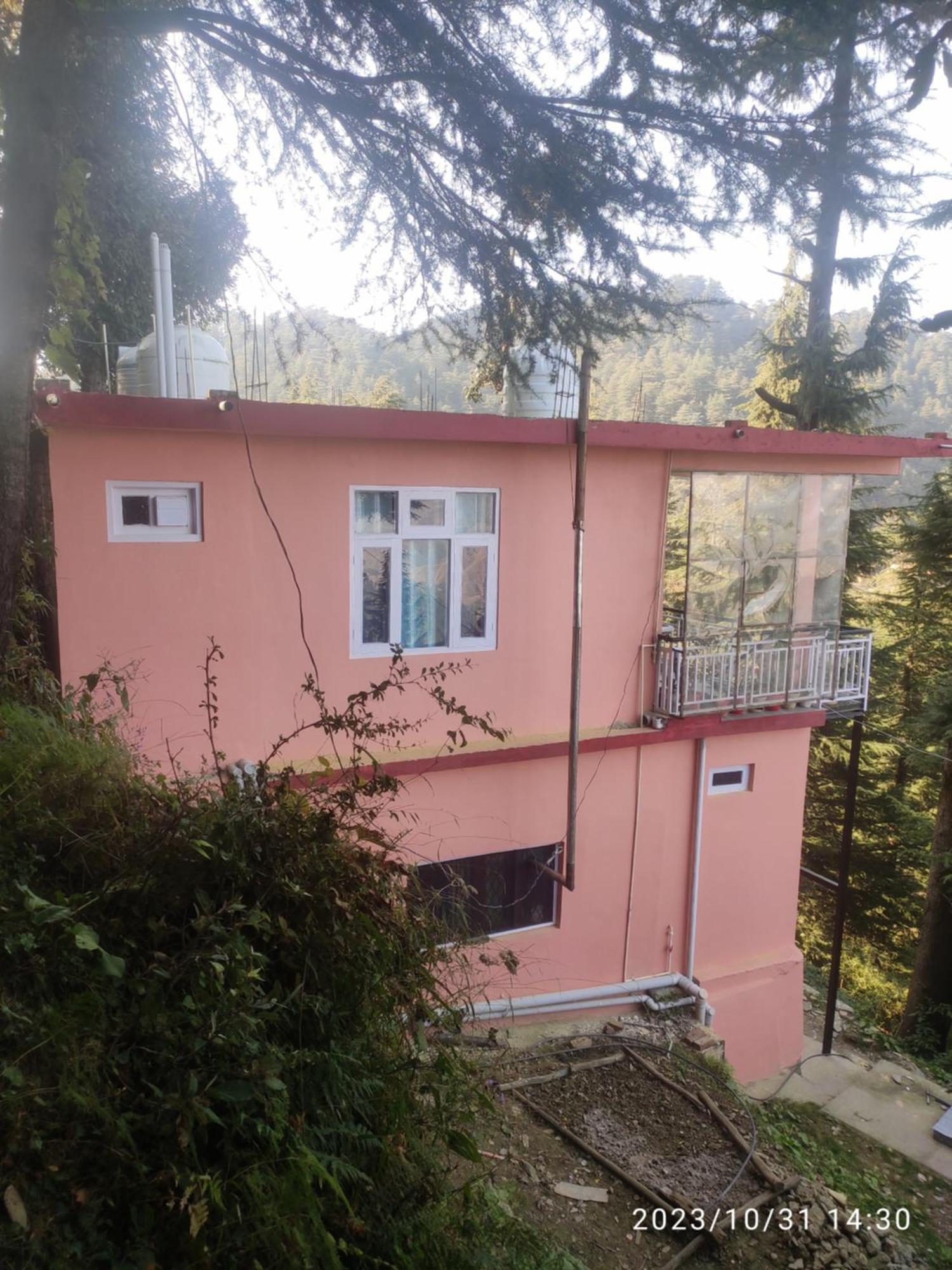 Tree Valley Homestay Chail Zewnętrze zdjęcie