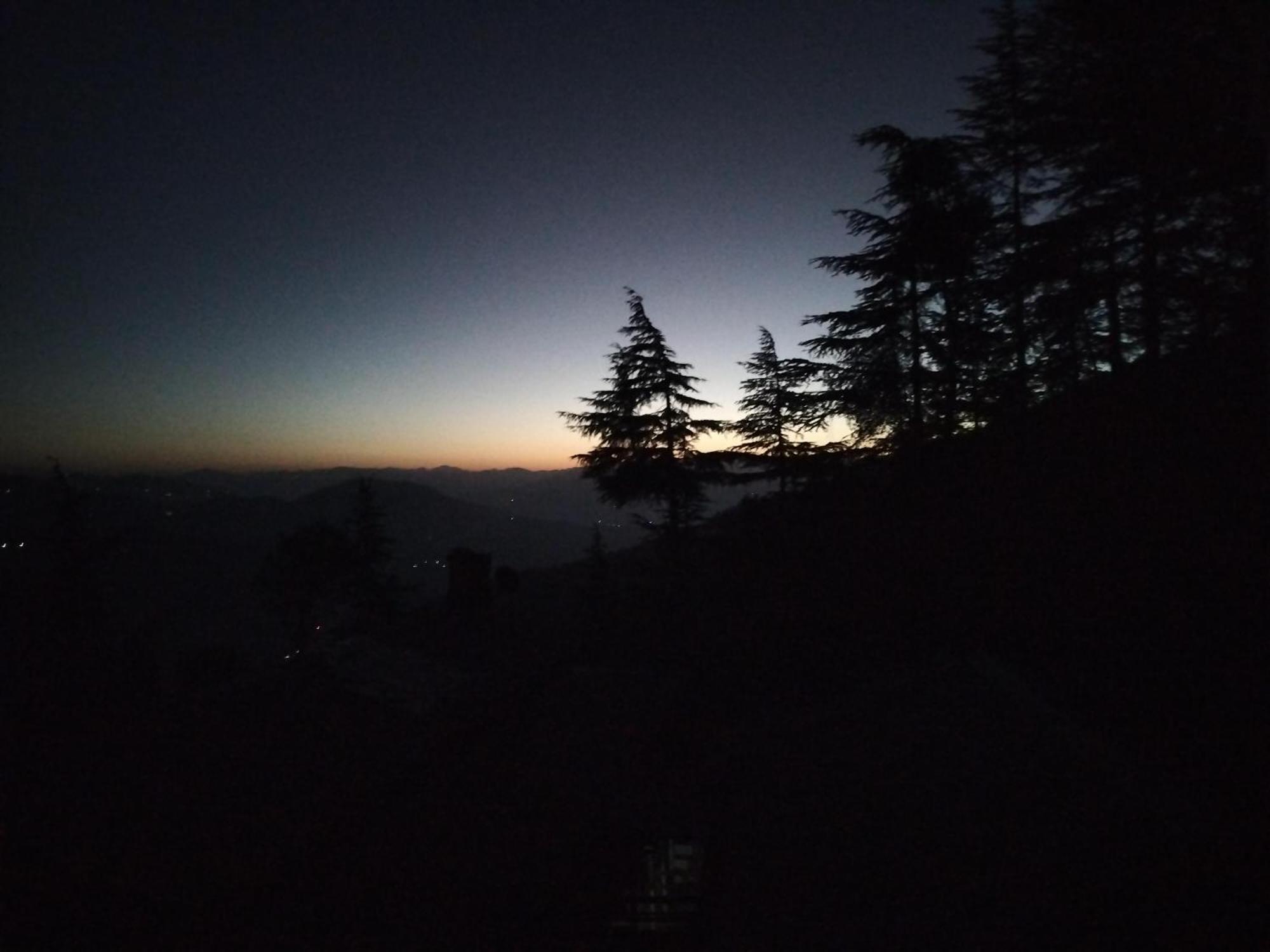 Tree Valley Homestay Chail Zewnętrze zdjęcie