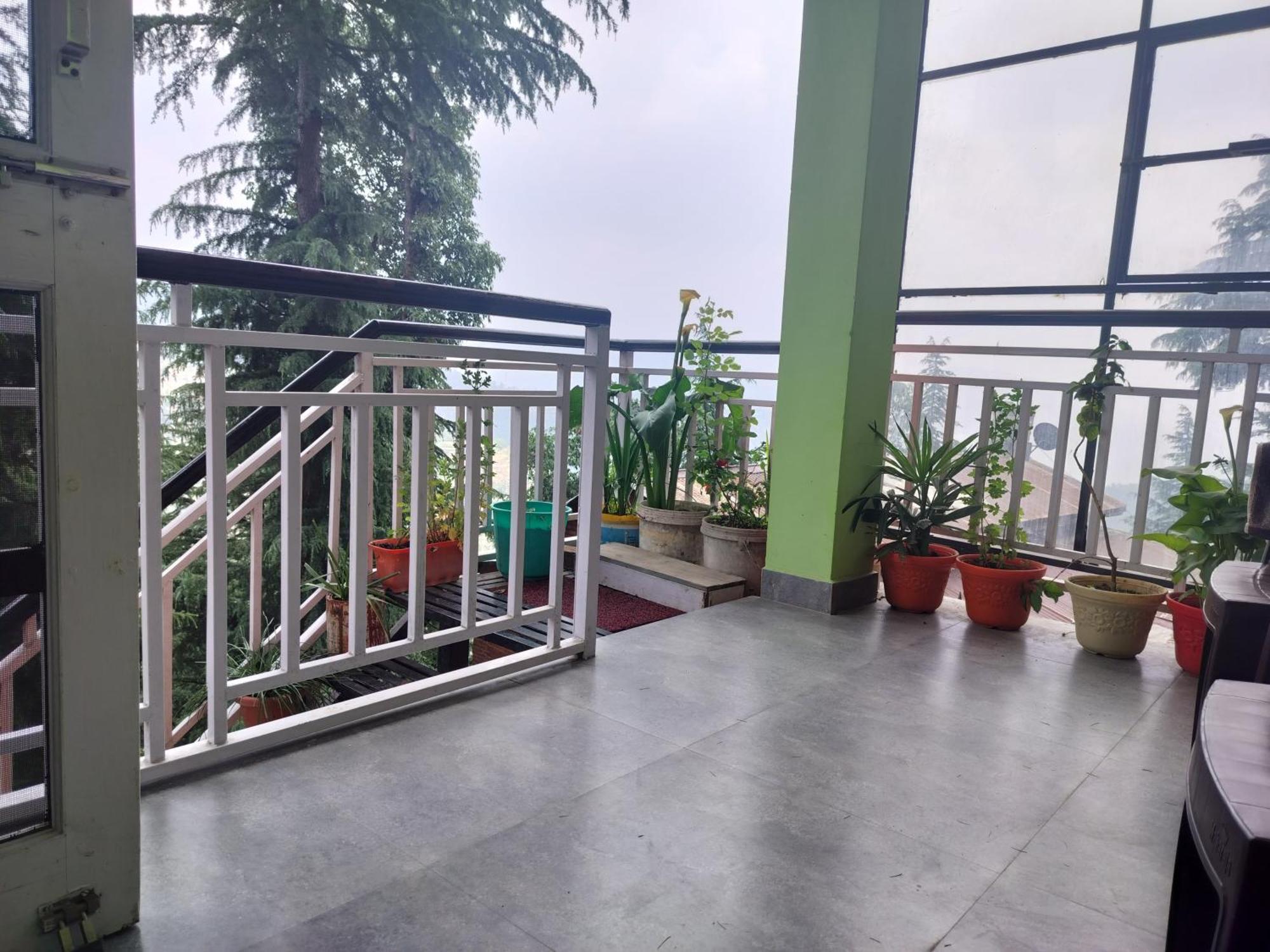 Tree Valley Homestay Chail Zewnętrze zdjęcie