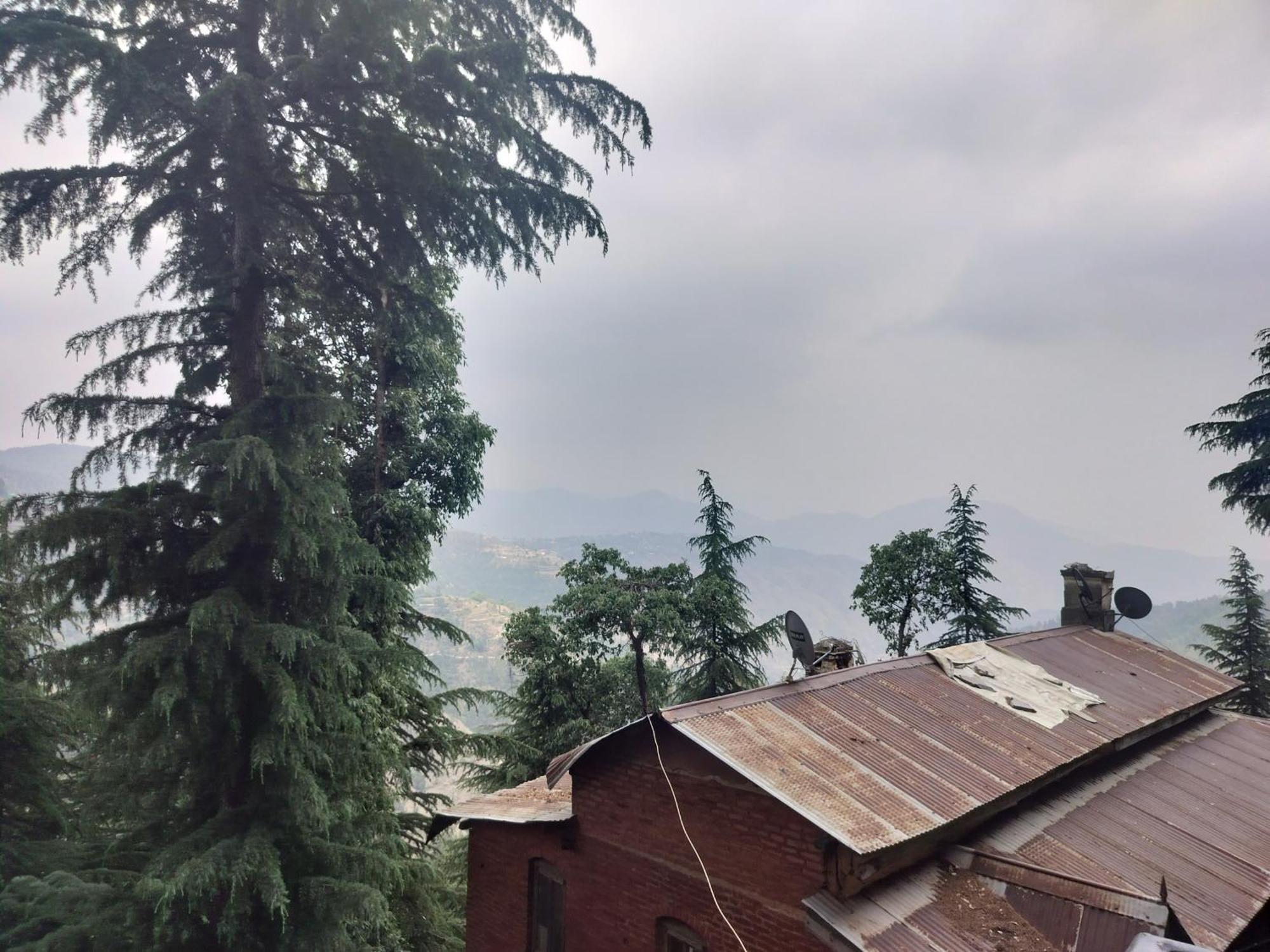 Tree Valley Homestay Chail Zewnętrze zdjęcie