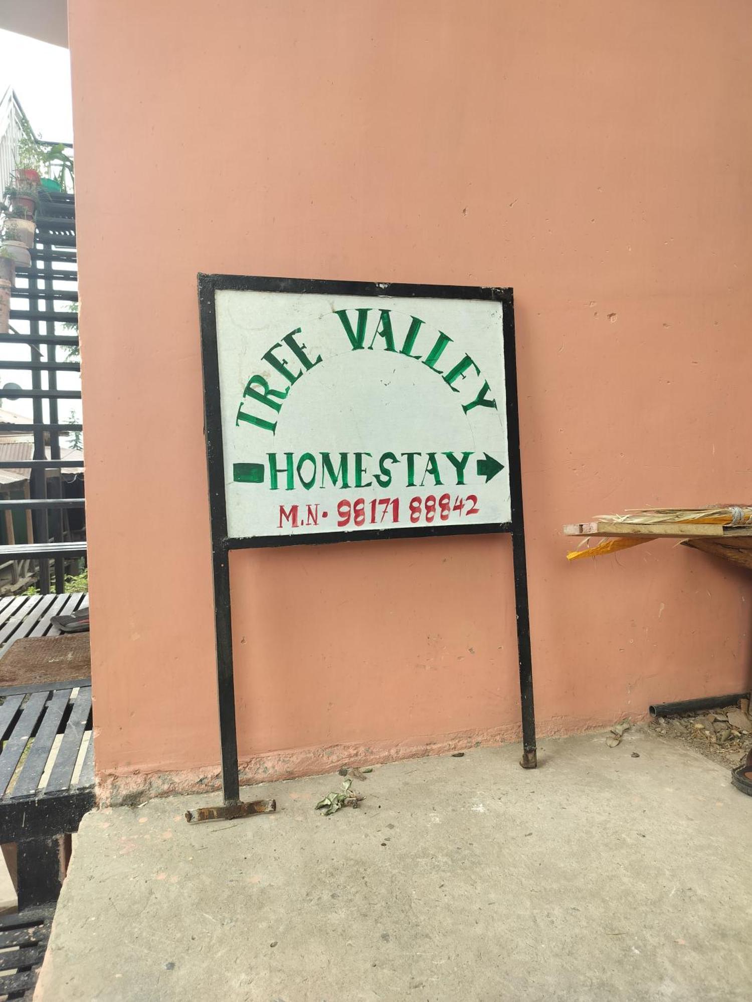 Tree Valley Homestay Chail Zewnętrze zdjęcie