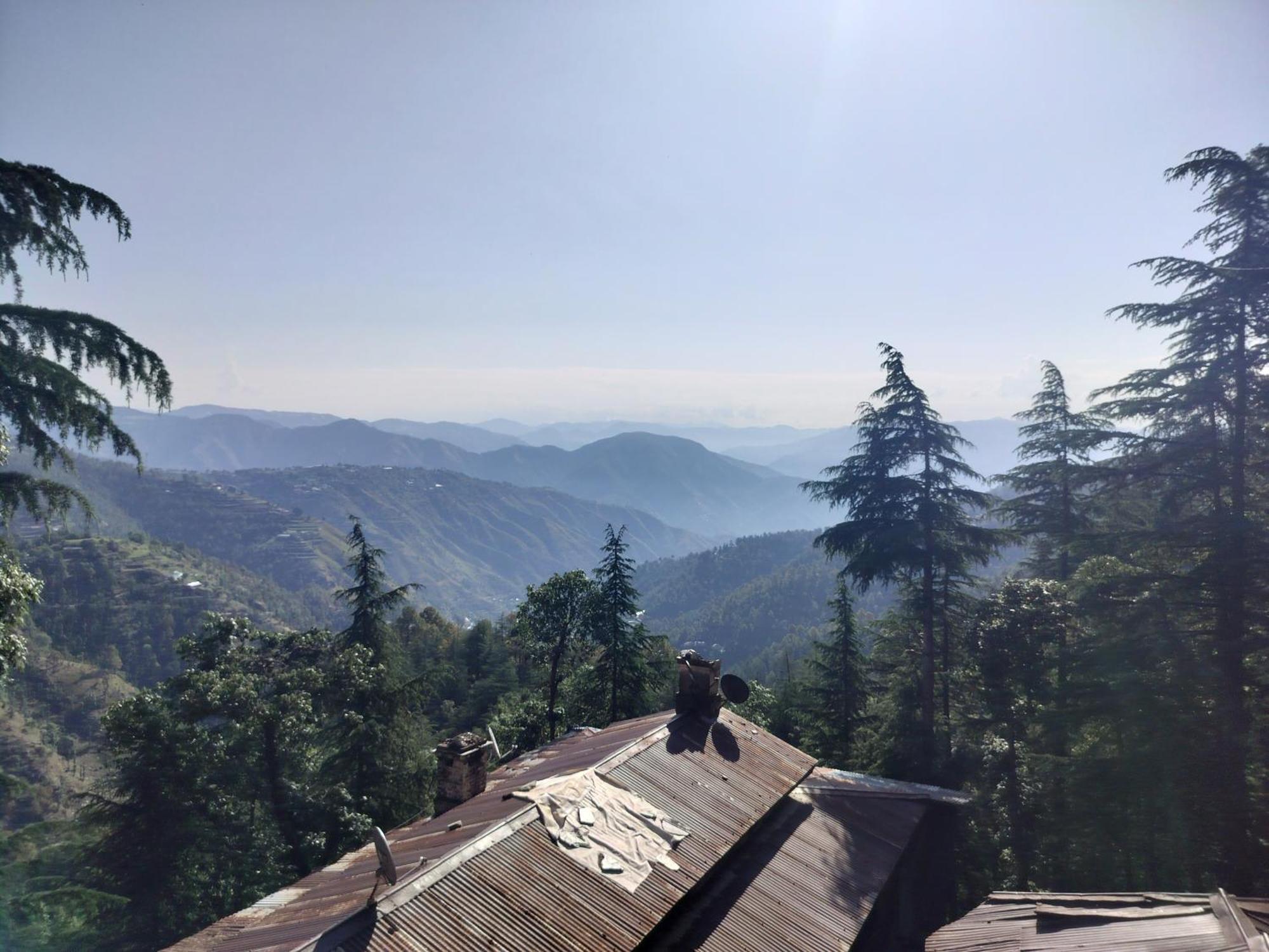 Tree Valley Homestay Chail Zewnętrze zdjęcie