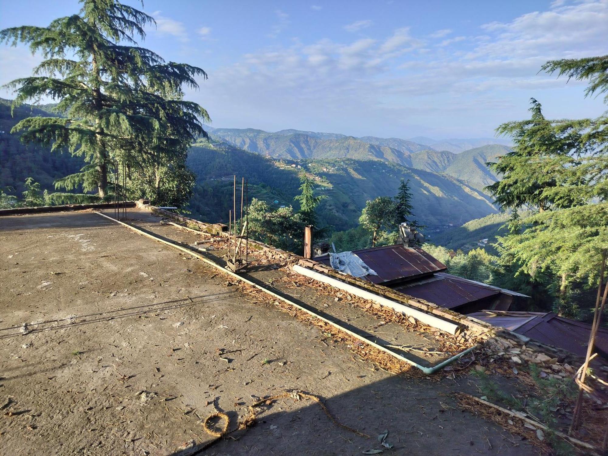 Tree Valley Homestay Chail Zewnętrze zdjęcie
