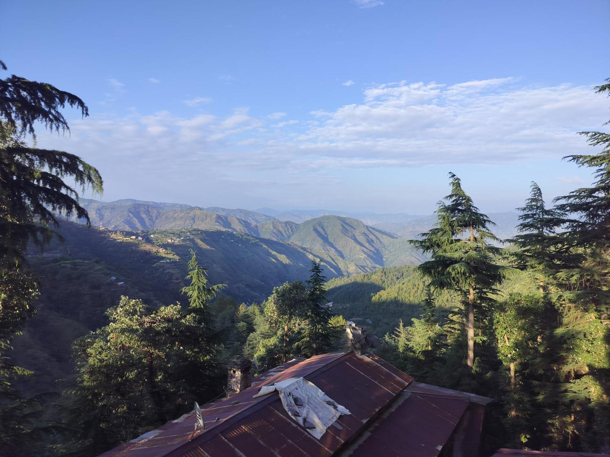 Tree Valley Homestay Chail Zewnętrze zdjęcie