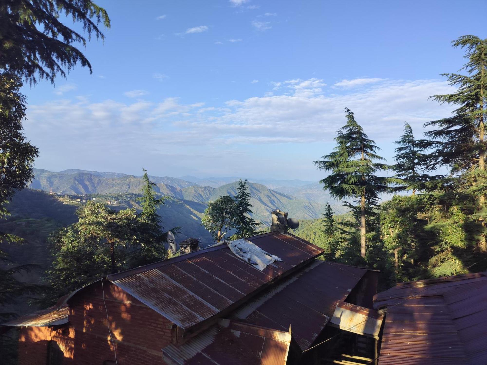 Tree Valley Homestay Chail Zewnętrze zdjęcie